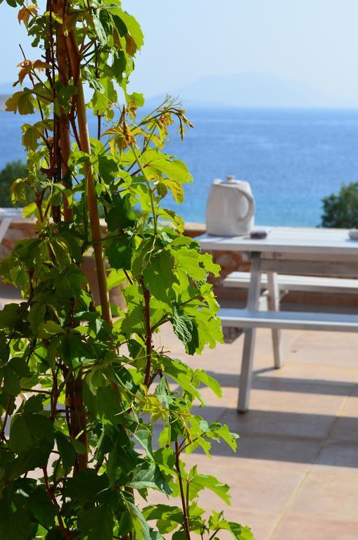 Villa Aristoteles Chalki Town Camera foto